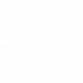 Juan J. Vines